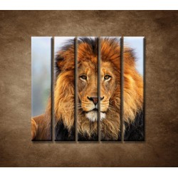 Obrazy na stenu - Leví kráľ - 5dielny 100x100cm