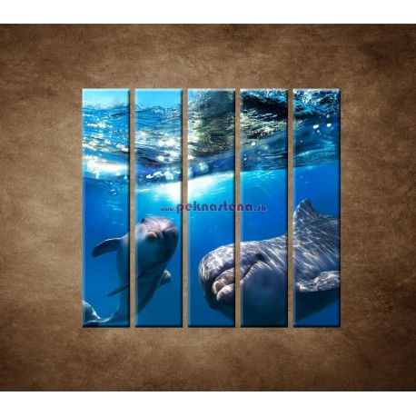 Obrazy na stenu - Delfíni pod vodou - 5dielny 100x100cm