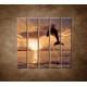 Obrazy na stenu - Skákajúci delfín - 5dielny 100x100cm