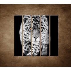 Obrazy na stenu - Čiernobiely jaguár - 5dielny 100x100cm