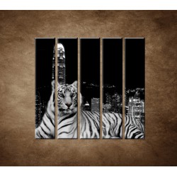 Obrazy na stenu - Mestský tiger - 5dielny 100x100cm