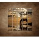 Obrazy na stenu - Kôň pri jazere - 5dielny 100x100cm