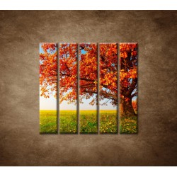 Obrazy na stenu - Jesenný dub - 5dielny 100x100cm