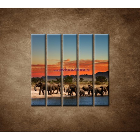 Obrazy na stenu - Safari - 5dielny 100x100cm