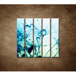 Obrazy na stenu - Kvapky vody na rastline - 5dielny 100x100cm