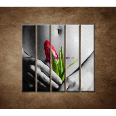 Obrazy na stenu - Mokré dievča s tulipánom - 5dielny 100x100cm