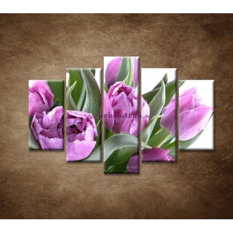 Obrazy na stenu - Nežné tulipány - 5dielny 150x100cm