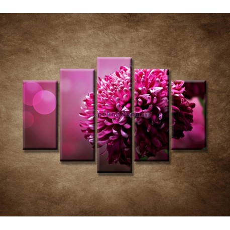 Obrazy na stenu - Kvetinové pozadie - 5dielny 150x100cm