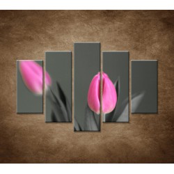 Obrazy na stenu - Ružové tulipány - 5dielny 150x100cm