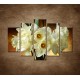 Obrazy na stenu - Narcisy - 5dielny 150x100cm