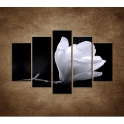 Obrazy na stenu - Kvet magnólie - 5dielny 150x100cm