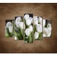 Obrazy na stenu - Biele tulipány - 5dielny 150x100cm