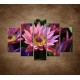 Obrazy na stenu - Lotosové kvety - 5dielny 150x100cm