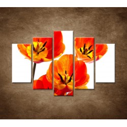 Obrazy na stenu - Oranžové tulipány - 5dielny 150x100cm