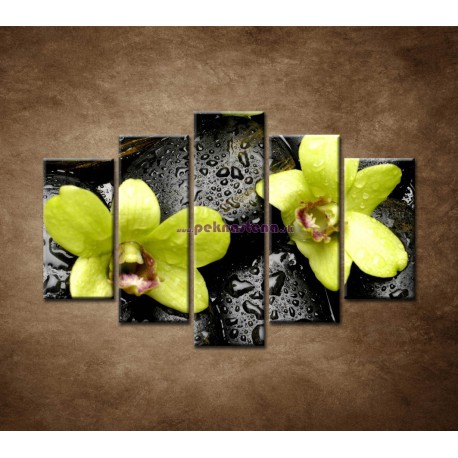 Obrazy na stenu - Kamene s kvapkami a orchideou - 5dielny 150x100cm