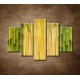 Obrazy na stenu - Bambusové stonky - 5dielny 150x100cm