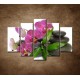 Obrazy na stenu - Orchidea na kameňoch - 5dielny 150x100cm