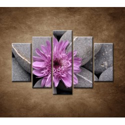 Obrazy na stenu - Sivé kamene s kvetom - 5dielny 150x100cm