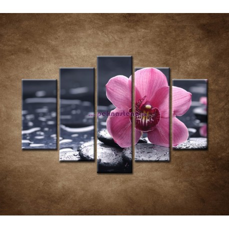 Obrazy na stenu - Ružová orchidea na kameni - 5dielny 150x100cm