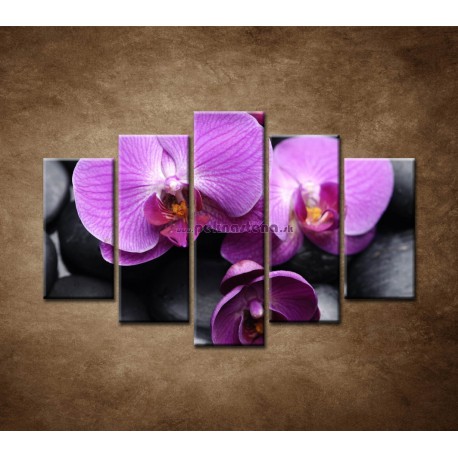 Obrazy na stenu - Ružové orchidey - 5dielny 150x100cm