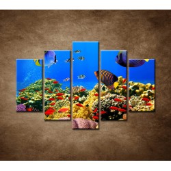 Obrazy na stenu - Podmorský svet - 5dielny 150x100cm