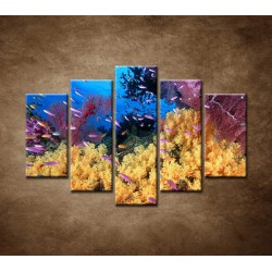Obrazy na stenu - Korálový útes - 5dielny 150x100cm
