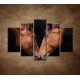 Obrazy na stenu - Kone - 5dielny 150x100cm