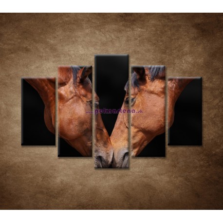 Obrazy na stenu - Kone - 5dielny 150x100cm