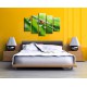 Obrazy na stenu - Lienky - 5dielny 150x100cm