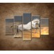 Obrazy na stenu - Kôň pri západe slnka - 5dielny 150x100cm