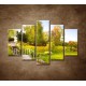 Obrazy na stenu - Zelený park - 5dielny 150x100cm