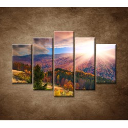Obrazy na stenu - Farebná jeseň - 5dielny 150x100cm