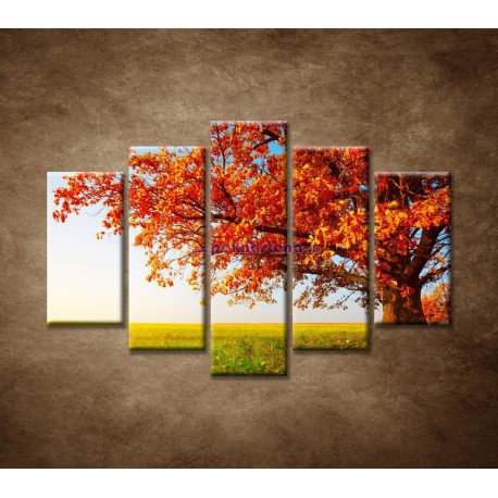 Obrazy na stenu - Jesenný dub - 5dielny 150x100cm