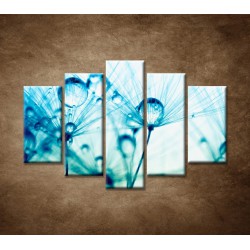 Obrazy na stenu - Kvapky vody na rastline - 5dielny 150x100cm