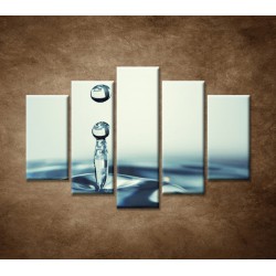 Obrazy na stenu - Kvapka vody - 5dielny 150x100cm
