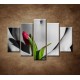 Obrazy na stenu - Dievča s tulipánom - 5dielny 150x100cm