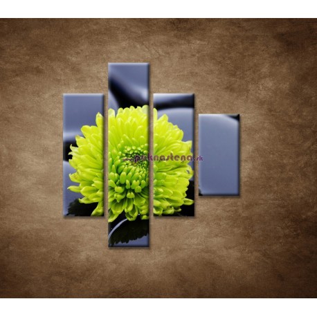 Obrazy na stenu - Žlto-zelený kvet - 4dielny 80x90cm