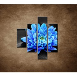 Obrazy na stenu - Modrý kvet na kameňoch - 4dielny 80x90cm
