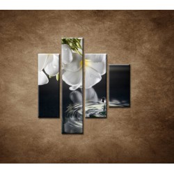 Obrazy na stenu - Biely kvet nad vodou - 4dielny 80x90cm