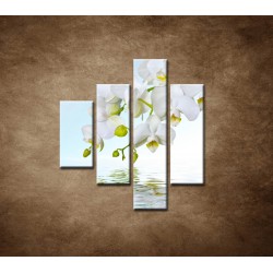 Obrazy na stenu - Biela orchidea nad hladinou - 4dielny 80x90cm