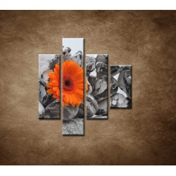 Obrazy na stenu - Oranžová gerbera a kamene - 4dielny 80x90cm