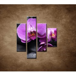 Obrazy na stenu - Ružové orchidey - 4dielny 80x90cm