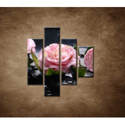 Obrazy na stenu - Kvety kamélie a kamene - 4dielny 80x90cm