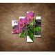 Obrazy na stenu - Orchidea na kameňoch - 4dielny 80x90cm