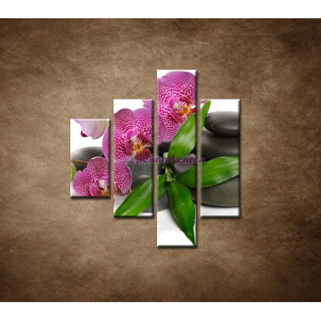 Obrazy na stenu - Orchidea na kameňoch - 4dielny 80x90cm