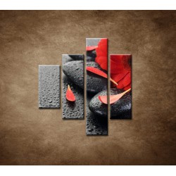Obrazy na stenu - Červená gerbera a kamene - 4dielny 80x90cm
