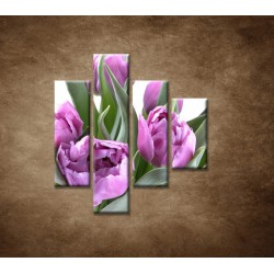 Obrazy na stenu - Nežné tulipány - 4dielny 80x90cm