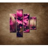 Obrazy na stenu - Ružové gerbery - 4dielny 80x90cm