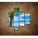 Obrazy na stenu - Pláž s palmou - 4dielny 80x90cm