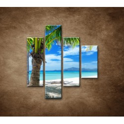 Obrazy na stenu - Pláž s palmou - 4dielny 80x90cm